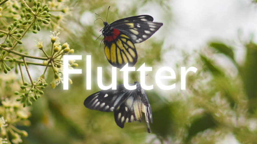 Flutterでアプリ開発 Web屋さんの覚書